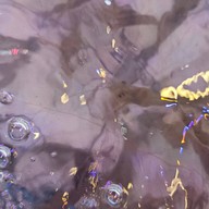 ฟินน์ บุฟเฟ่ต์