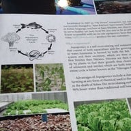 เมนู Sano Kitchen Sano Kitchen