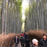 Nonomiya-jinja Shrine