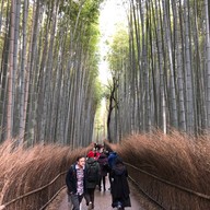 Nonomiya-jinja Shrine