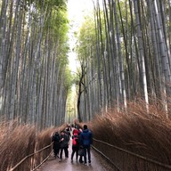 Nonomiya-jinja Shrine