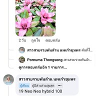 ครัวพาต้าเขาปีบ Khaopip