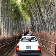 Nonomiya-jinja Shrine