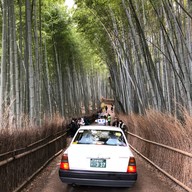 Nonomiya-jinja Shrine