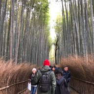 Nonomiya-jinja Shrine