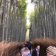 Nonomiya-jinja Shrine