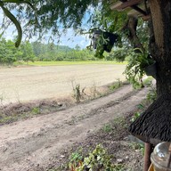 ร้านอาหารบ้านป้านอม บ้านค่าย