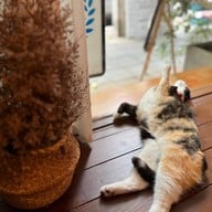 Remedy Coffee Roastery ผ่านฟ้า