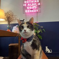 Remedy Coffee Roastery ผ่านฟ้า