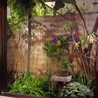 บรรยากาศ แม่ทุมผัดไทยเข่ง