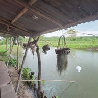 ก๋วยจั๊บอุบล อาหารป่า ตามสั่ง (เผ็ดริมทาง)