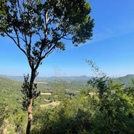 ผากิ่วลม