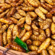 I Mos แมลงทอด 1