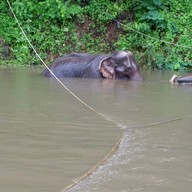เรือนแพ ริเวอร์แคว จังเกิลราฟท์