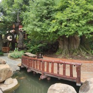 บรรยากาศ Doi Chaang Caffe - The Gardener CALTEX - Samkhok