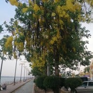 บรรยากาศ ริมแม่น้ำโขง นครพนม