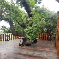 บรรยากาศ Doi Chaang Caffe - The Gardener CALTEX - Samkhok