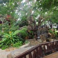 บรรยากาศ สเต็กถาด 700 ปทุมธานี