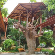 บรรยากาศ Doi Chaang Caffe - The Gardener CALTEX - Samkhok