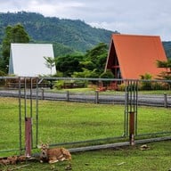 The Mountain Deer View Lodge & Hashery บ้านมุง