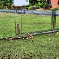 The Mountain Deer View Lodge & Hashery บ้านมุง