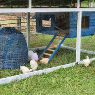 The Mountain Deer View Lodge & Hashery บ้านมุง