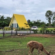 The Mountain Deer View Lodge & Hashery บ้านมุง
