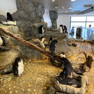 Osaka Aquarium Kaiyukan
