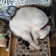 Sunrise Cafe' Sunrise Cafe Pattaya