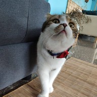 Sunrise Cafe' Sunrise Cafe Pattaya