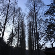 Nami Island