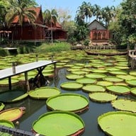 Ma Doo Bua Phuket