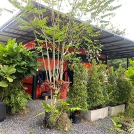 ชาบู2น้ำ