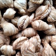 กรี่ปัพครูนิจ โอท็อปเจ้าดัง