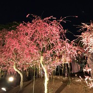 บรรยากาศ Nabana no Sato