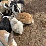 Morning Glory The Bakery House สวนผึ้ง