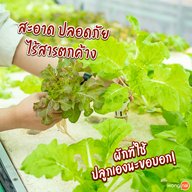 มีรัก คาเฟ่ มีรักคาเฟ่