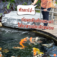 มีรัก คาเฟ่ มีรักคาเฟ่