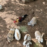 Morning Glory The Bakery House สวนผึ้ง