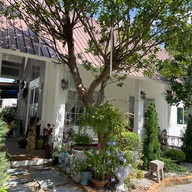 Chandee Coffee & Furit