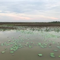 บรรยากาศ ไม่มี ไม่มี