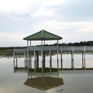 บรรยากาศ ไม่มี ไม่มี