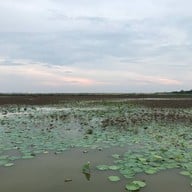 บรรยากาศ ไม่มี ไม่มี