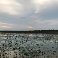 บรรยากาศ ไม่มี ไม่มี