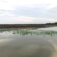 บรรยากาศ ไม่มี ไม่มี