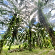 สำนักสงฆ์ถ้ำเพชร