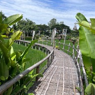 Lapuné Cafe and Scene