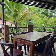 Jungle view