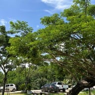 บรรยากาศ บ้านพัฒก์ คาเฟ่