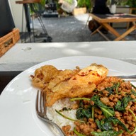 กะเพราควาย